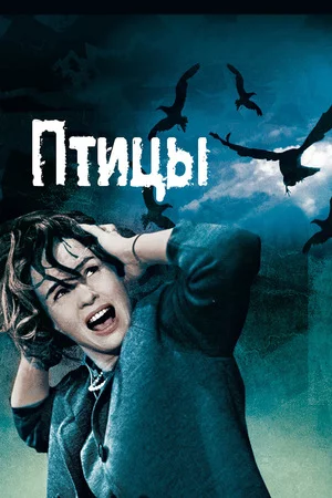 Птицы Постер